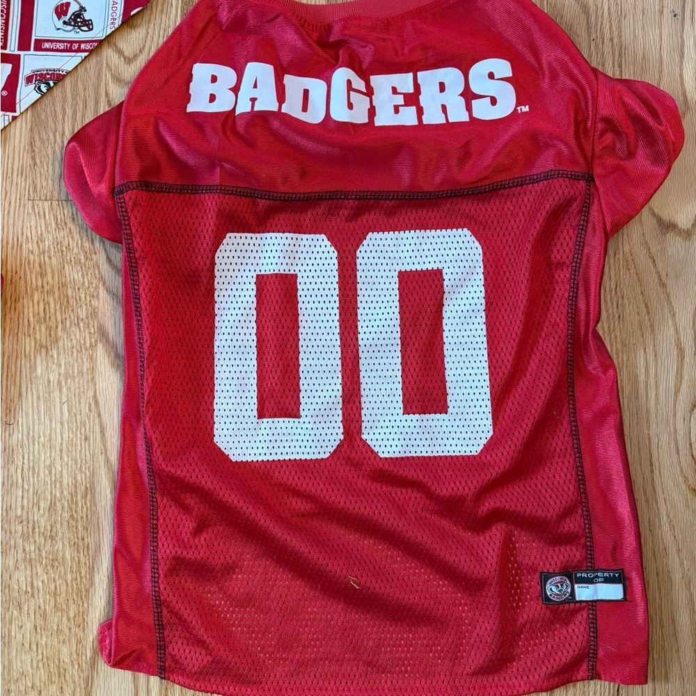 Wisconsin Badger Pet Jerseys And Bandanas Lot College University Badgers Dog - Picture 2 of 13